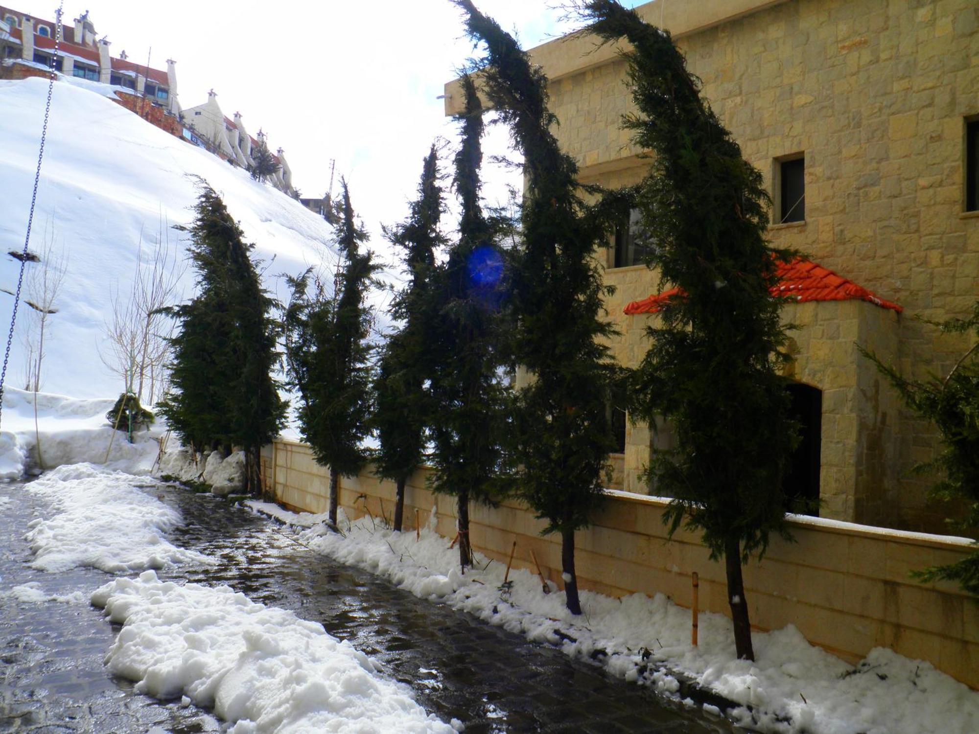 Stone Chalets Fārayyā Esterno foto