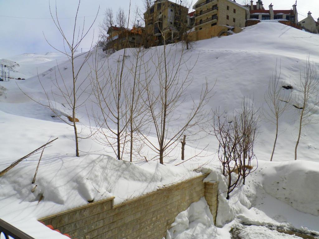 Stone Chalets Fārayyā Camera foto